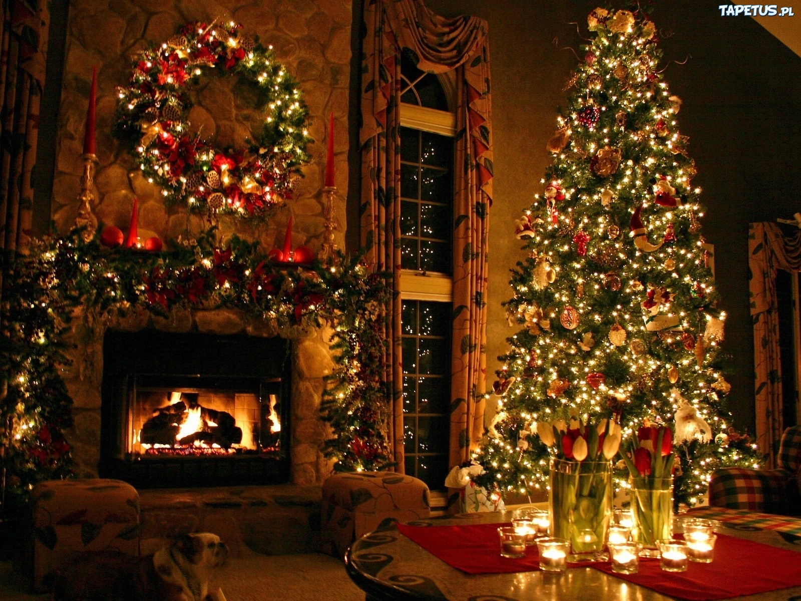 Strona gł&oacute;wna